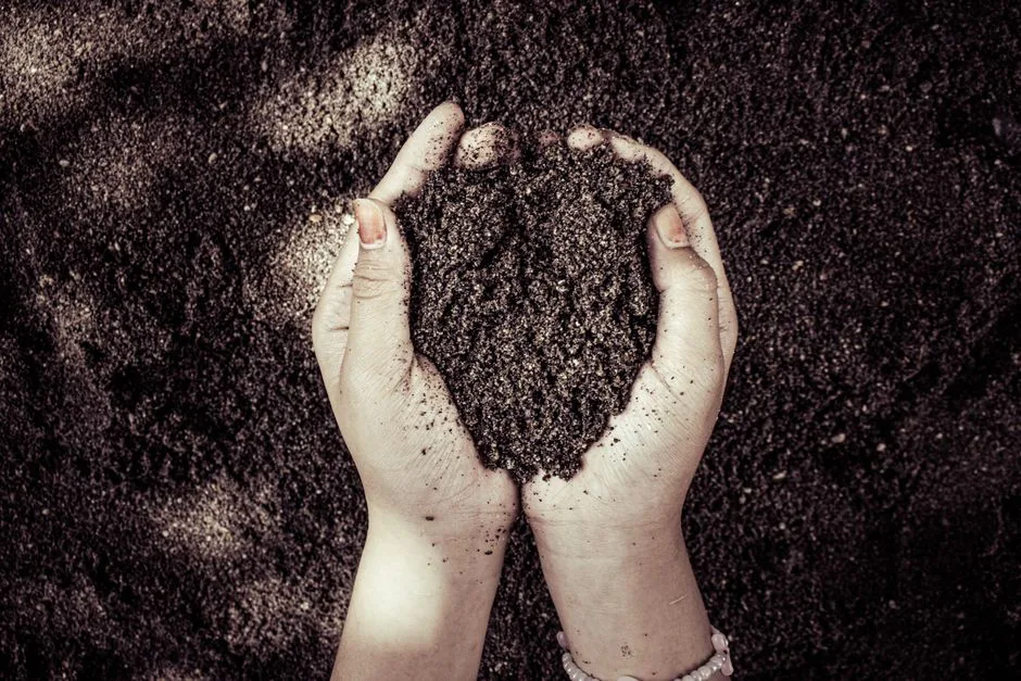 Two hands cupping dark soil, symbolizing nature and growth.